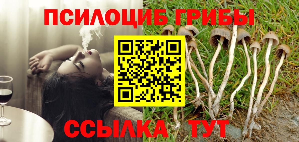 где можно купить   Вход с VPN  Первоуральск  Галлюциногенные грибы MAGIC MUSHROOMS 